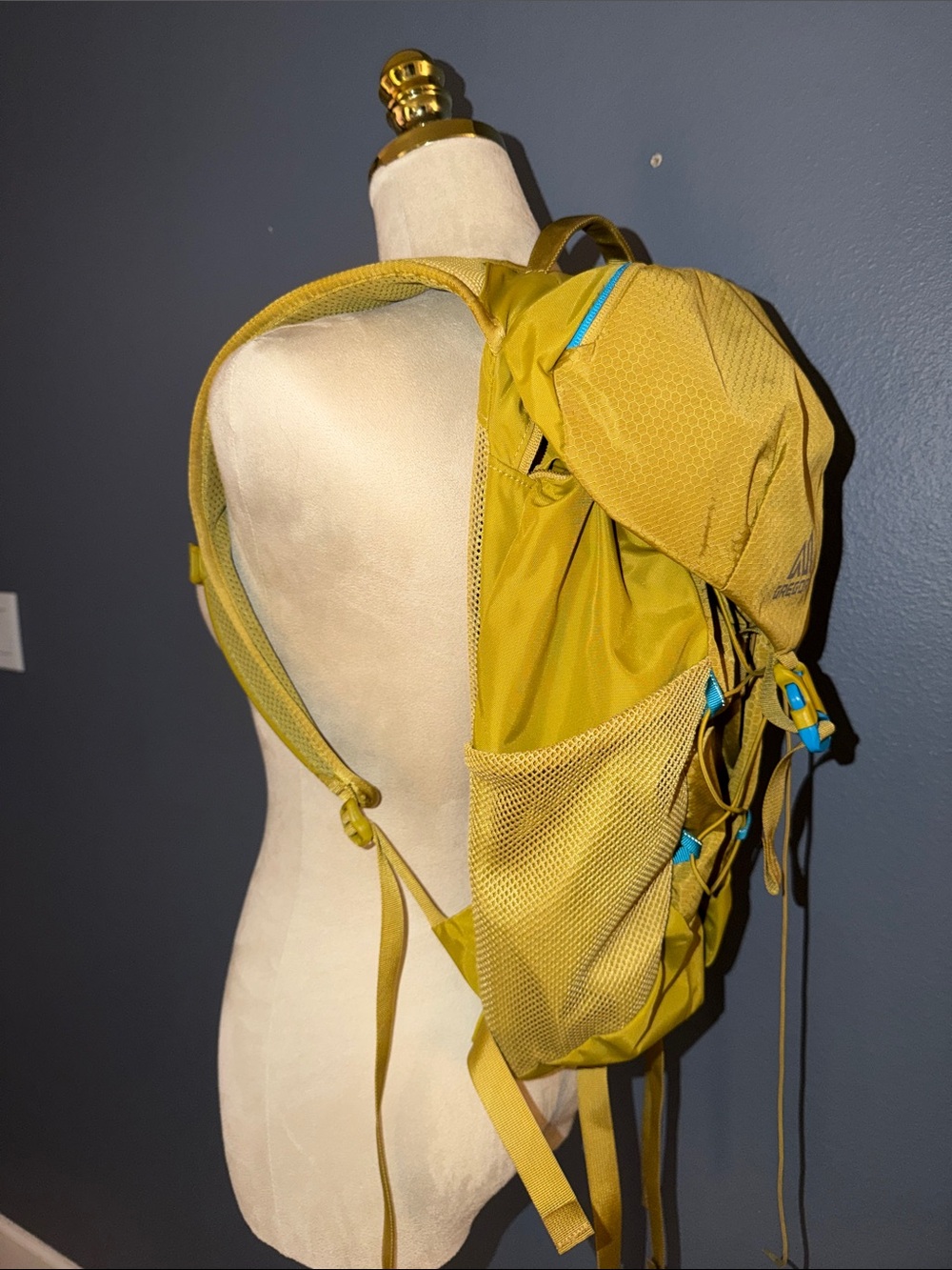 Gregory NANO 22 Mustard Yellow Backpack w/Blue Accent pocket for CamelBak - Picture 6 of 8